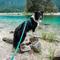 Show in main carousel: Non-stop Dogwear Line 5.0 Dog Harness, Teal, 6: 22.0 to 34.3-in chest slide 3 of 8
