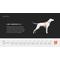 Show in main carousel: Non-stop Dogwear Line 5.0 Dog Harness, Orange, 5: 20.5 to 30.7-in chest slide 2 of 8