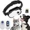 Show in main carousel: MEGAPAWS Collar-Mounted Wireless Mini Video Recording Easy to Attach Pet Action Camera slide 1 of 11