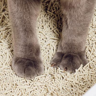 Show full view: tuft & paw Low-Tracking Flushable Tofu Cat Litter, Lavender, 9.25-lb bag slide 4 of 10