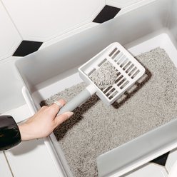 tuft & paw Plastic Cat Litter Scoop slide 2 of 6