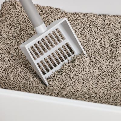 Show full view: tuft & paw Plastic Cat Litter Scoop slide 2 of 7