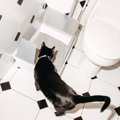 tuft & paw Cubby Non-Stick Cat Litter Box slide 2 of 7