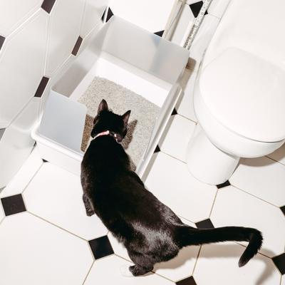 Show full view: tuft & paw Cubby Non-Stick Cat Litter Box slide 6 of 9