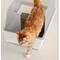 Show in main carousel: tuft + paw Really Great Cat Litter Unscented Low-Tracking, Flushable Tofu Cat Litter, 9.5-lb bag + Cubby Non-Stick Litter Box + Plastic Litter Scoop slide 9 of 9