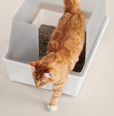 Show full view: tuft + paw Really Great Cat Litter Unscented Low-Tracking, Flushable Tofu Cat Litter, 9.5-lb bag + Cubby Non-Stick Litter Box + Plastic Litter Scoop slide 9 of 9