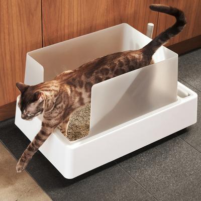 Show full view: Tuft & Paw Cove Modern Cat Litter Box with Dustpan & Litter Scoop slide 6 of 10