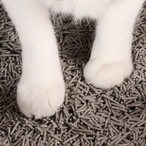 tuft + paw Really Great Cat Litter Unscented Low-Tracking, Flushable Tofu Cat Litter, 9.25-lb bag