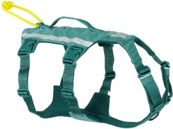Non-stop Dogwear Ramble Long Dog Harness, Teal, Medium: 22.8 to 35.4-in chest
