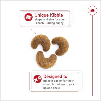 Royal Canin Breed Health Nutrition French Bulldog Puppy Dry Dog Food