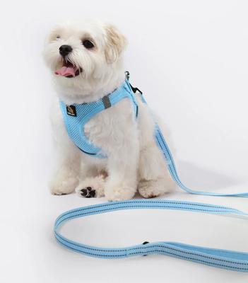 Show full view: Bella & Pal OxyMesh Velcro Step-in Harness & Leash Set, Sky Blue, X-Small slide 6 of 7