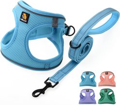 Bella & Pal OxyMesh Velcro Step-in Harness & Leash Set, Sky Blue, X-Small
