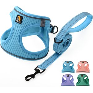 Bella & Pal OxyMesh Velcro Step-in Harness & Leash Set, Sky Blue, Medium