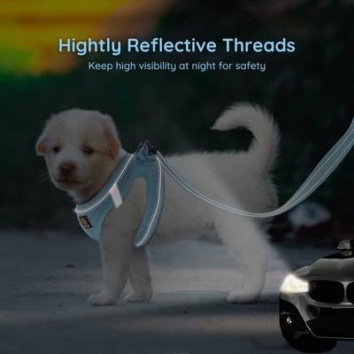 Show full view: Bella & Pal OxyMesh Velcro Step-in Harness & Leash Set, Sky Blue, X-Small slide 3 of 7