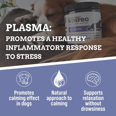 Show full view: WINPRO Pet Calming Soft Chew Dog Supplement, 60 count slide 7 of 10