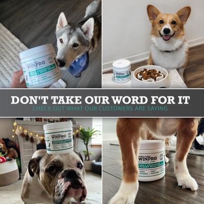 Show full view: WINPRO Pet Probiotic + Plasma Meal Topper Dog Supplement, 60 scoops slide 9 of 10