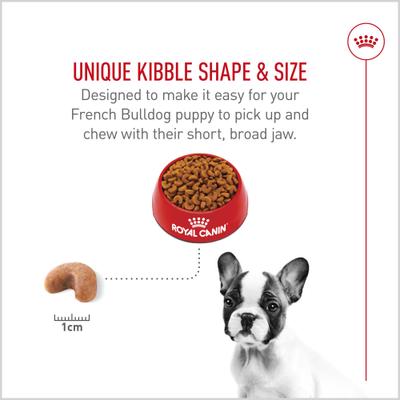 Royal Canin Breed Health Nutrition French Bulldog Puppy Dry Dog Food