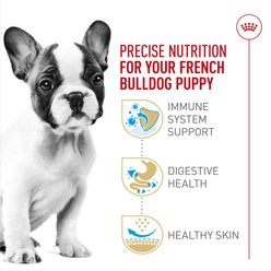 Royal Canin Breed Health Nutrition French Bulldog Puppy Dry Dog Food, 10.5-lb bag slide 2 of 9