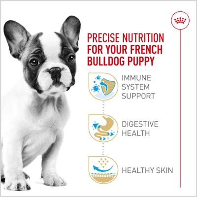 Royal Canin Breed Health Nutrition French Bulldog Puppy Dry Dog Food