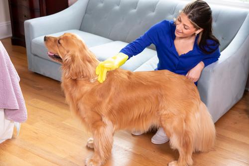 Show full view: FurZapper Pet Grooming Glove, Yellow slide 4 of 5