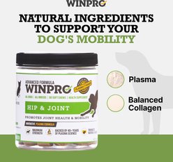 WINPRO Pet Hip & Joint Soft Chews Dog Supplement, 60 count slide 2 of 9
