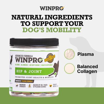 Show full view: WINPRO Pet Hip & Joint Soft Chews Dog Supplement, 60 count slide 4 of 11