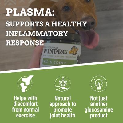 Show full view: WINPRO Pet Hip & Joint Soft Chews Dog Supplement, 60 count slide 7 of 11