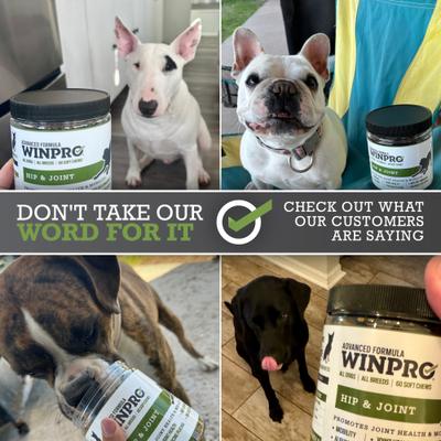 Show full view: WINPRO Pet Hip & Joint Soft Chews Dog Supplement, 60 count slide 8 of 11