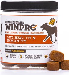 WINPRO Pet Gut Health Soft Chew Dog Supplement, 60 count