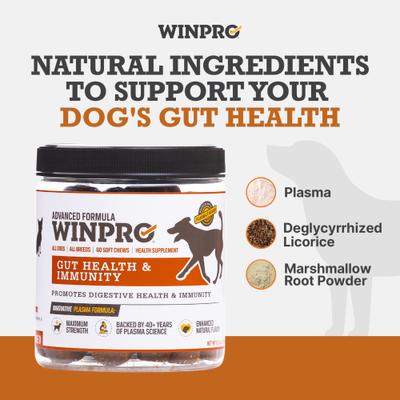 Show full view: WINPRO Pet Gut Health Soft Chew Dog Supplement, 60 count slide 4 of 11