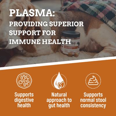 Show full view: WINPRO Pet Gut Health Soft Chew Dog Supplement, 60 count slide 7 of 11