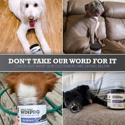 Show full view: WINPRO Pet Calming Soft Chew Dog Supplement, 60 count slide 8 of 10