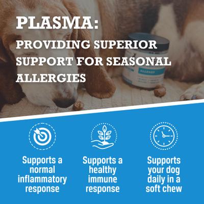 Show full view: WINPRO Pet Allergy Soft Chew Dog Supplement, 60 count slide 7 of 11