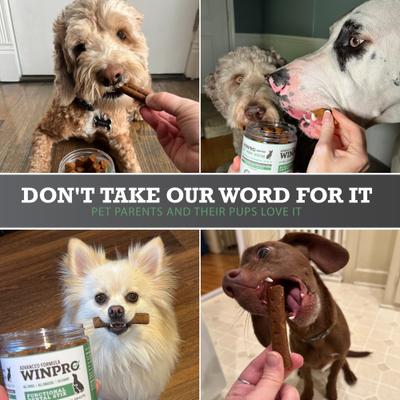 Show full view: WINPRO Pet Functional Dental Stix Soft Chew Dog Supplement, 16 count slide 8 of 11