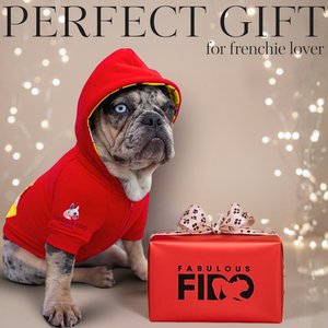 Fabulous Fido Cotton Cozy & Comfortable Dog Hoodie with Front Zipper, Red, Large