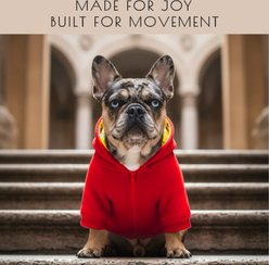 Fabulous Fido Cotton Cozy & Comfortable Dog Hoodie with Front Zipper, Red, Small slide 2 of 9