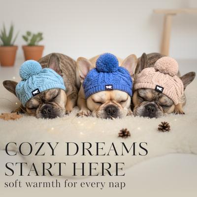 Show full view: Fabulous Fido Beanie with Ear Holes & Adjustable Chin Strap Dog Knit Hat, Blue, Small slide 5 of 10