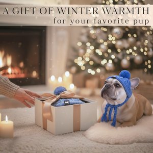 Fabulous Fido Beanie with Ear Holes & Adjustable Chin Strap Dog Knit Hat, Blue, Medium