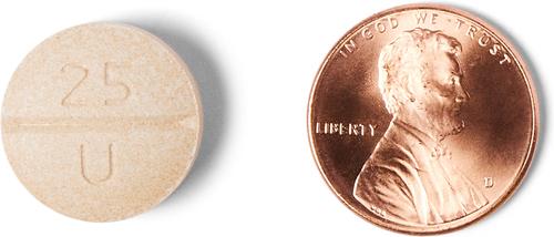 Show full view: Phenylpropanolamine Hydrochloride Chewable Tablets for Dogs, 25-mg, 1 tablet slide 5 of 5