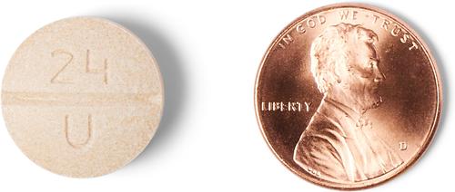 Show full view: Phenylpropanolamine Hydrochloride Chewable Tablets for Dogs, 50-mg, 60 tablets slide 5 of 5