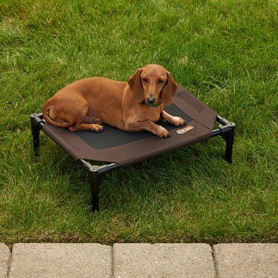 K&H Pet Products K&H Pet Products Original Steel Frame Cot Outdoor Elevated Dog Bed, Chocolate, Small