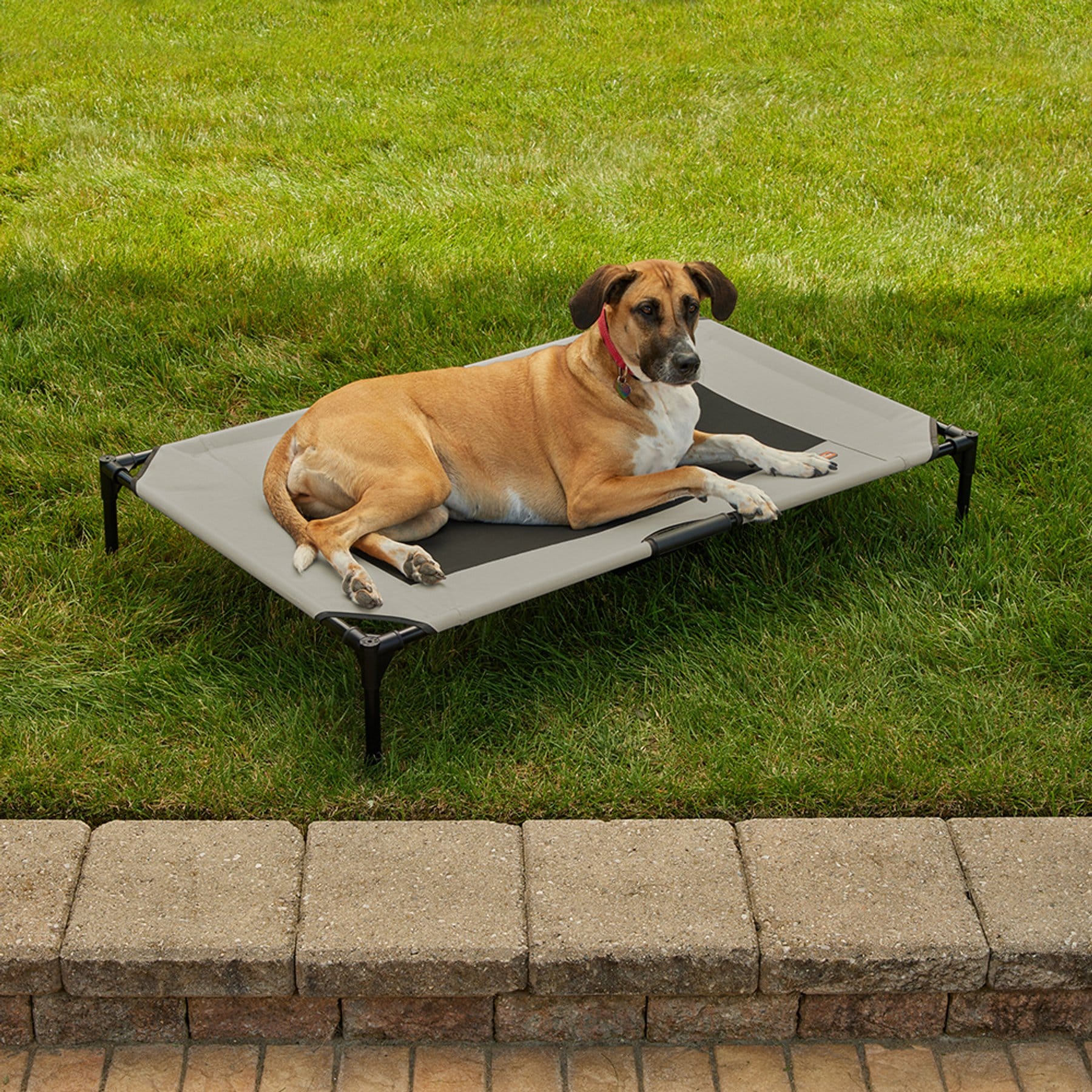 K&H Pet Products Original Steel Frame Cot Outdoor Elevated Dog Bed, Taupe/Black, X-Large