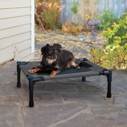 K&H Pet Products Original Steel Frame Cot Outdoor Elevated Dog Bed, Charcoal/Black, Small slide 1 of 9