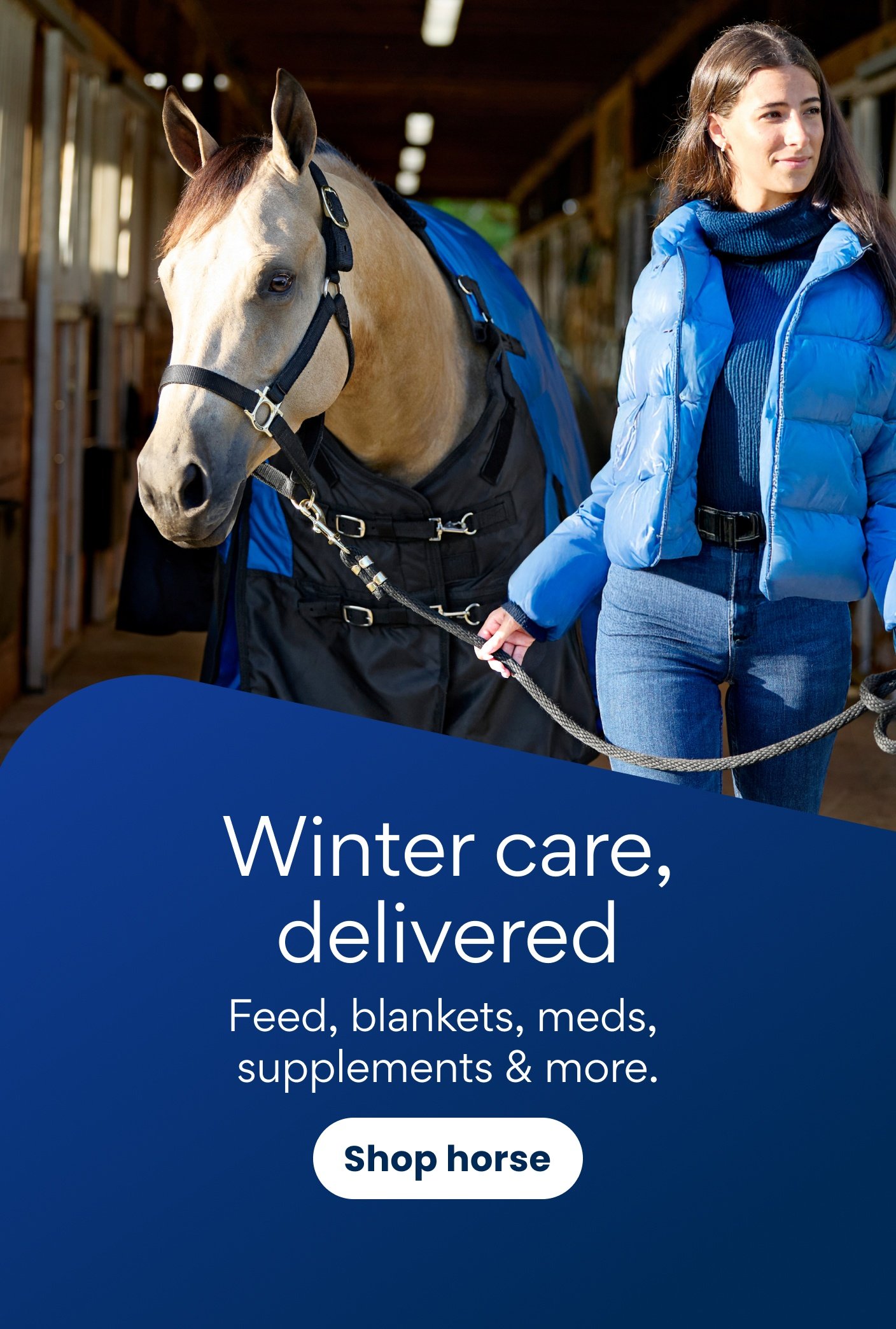 Winter care, delivered Feed, blankets, meds, supplements & more