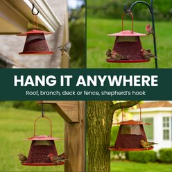 Perky-Pet Cardinal Wild Bird Feeder, Red slide 2 of 9