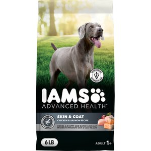 Iams Advanced Health Skin & Coat Chicken & Salmon Recipe Adult Dry Dog Food, 6-lb bag