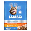 Iams Proactive Health Healthy Enjoyment Immune Support Chicken & Salmon Adult Dry Cat Food 15-lb bag