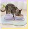 Show in main carousel: Happy & Polly Double Travel Collapsible Silicone Dog & Cat Bowl, 12.3-oz slide 3 of 10