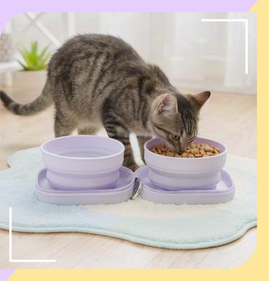 Show full view: Happy & Polly Double Travel Collapsible Silicone Dog & Cat Bowl, 12.3-oz slide 3 of 10