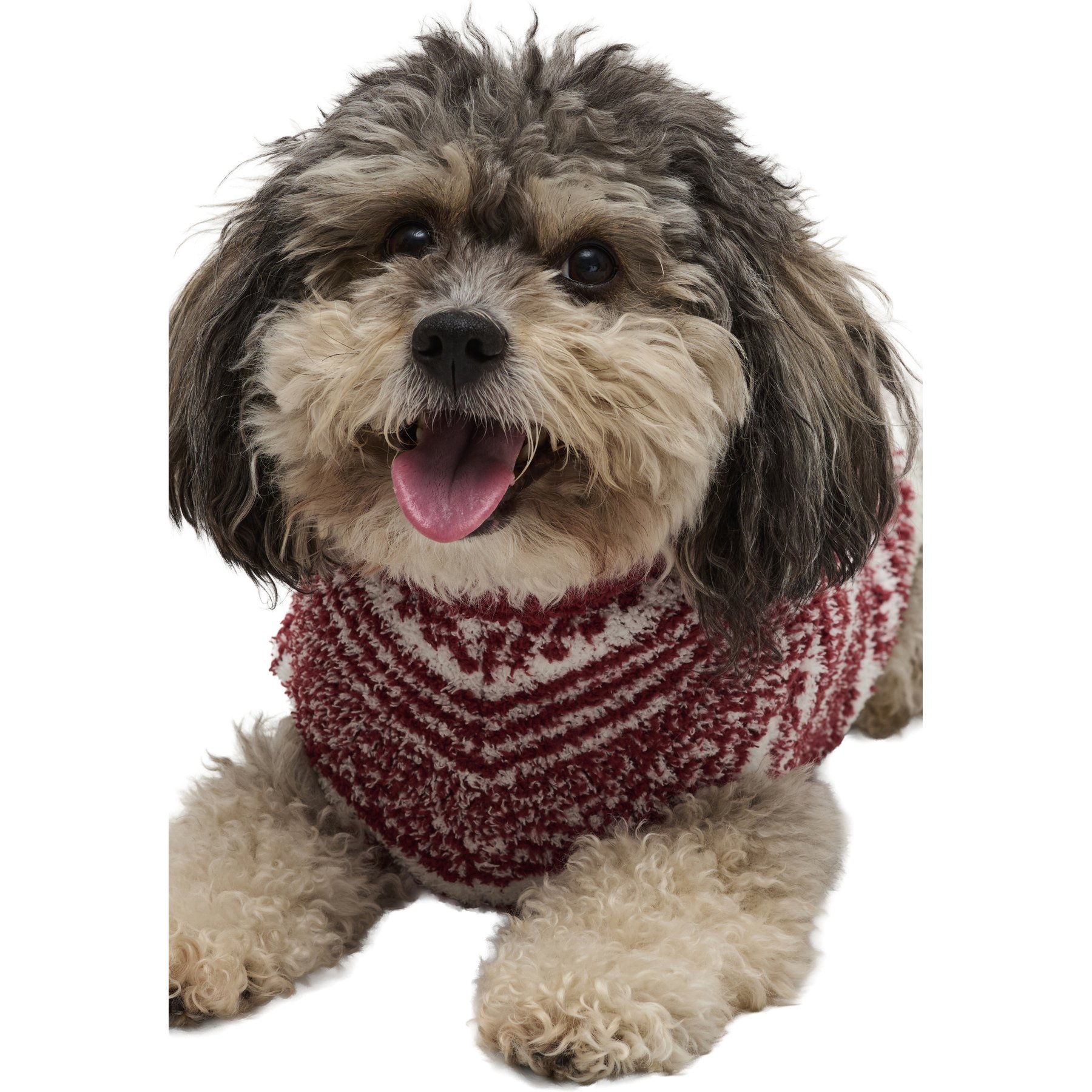 Barefoot Dreams CozyChic Checkered BDPCC26029 Stripe Dog Sweater, Crimson/Pearl, Medium